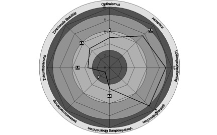 StressRadar-Intensiv_klein bei Analyse
